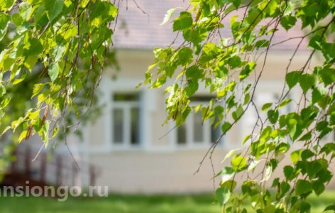 Дом престарелых «Забота о родителях НН»